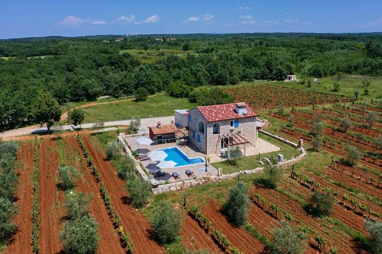Вилла Relax House Surrounded By Olives And Vineyard Stifanici Экстерьер фото