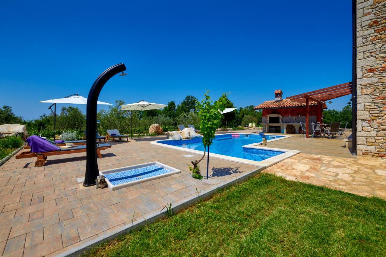 Вилла Relax House Surrounded By Olives And Vineyard Stifanici Экстерьер фото