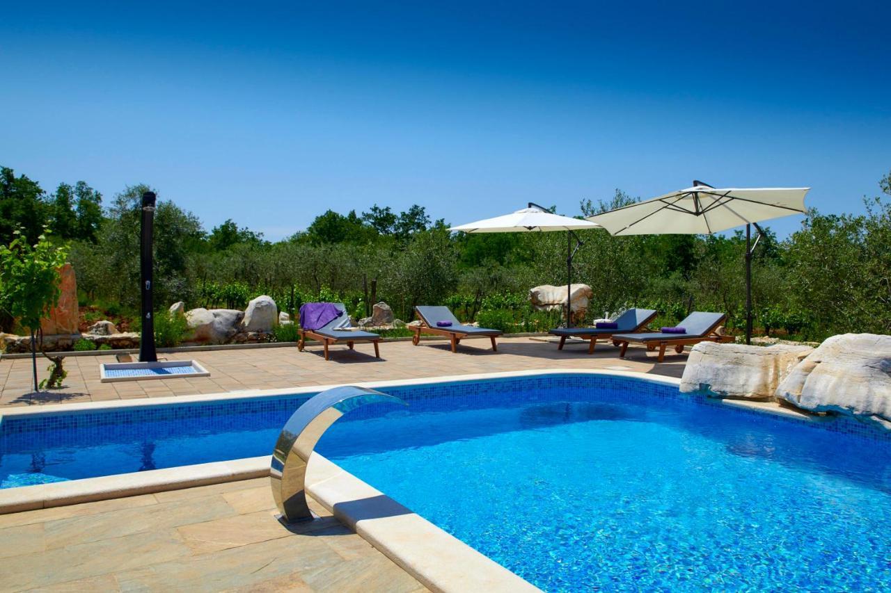 Вилла Relax House Surrounded By Olives And Vineyard Stifanici Экстерьер фото