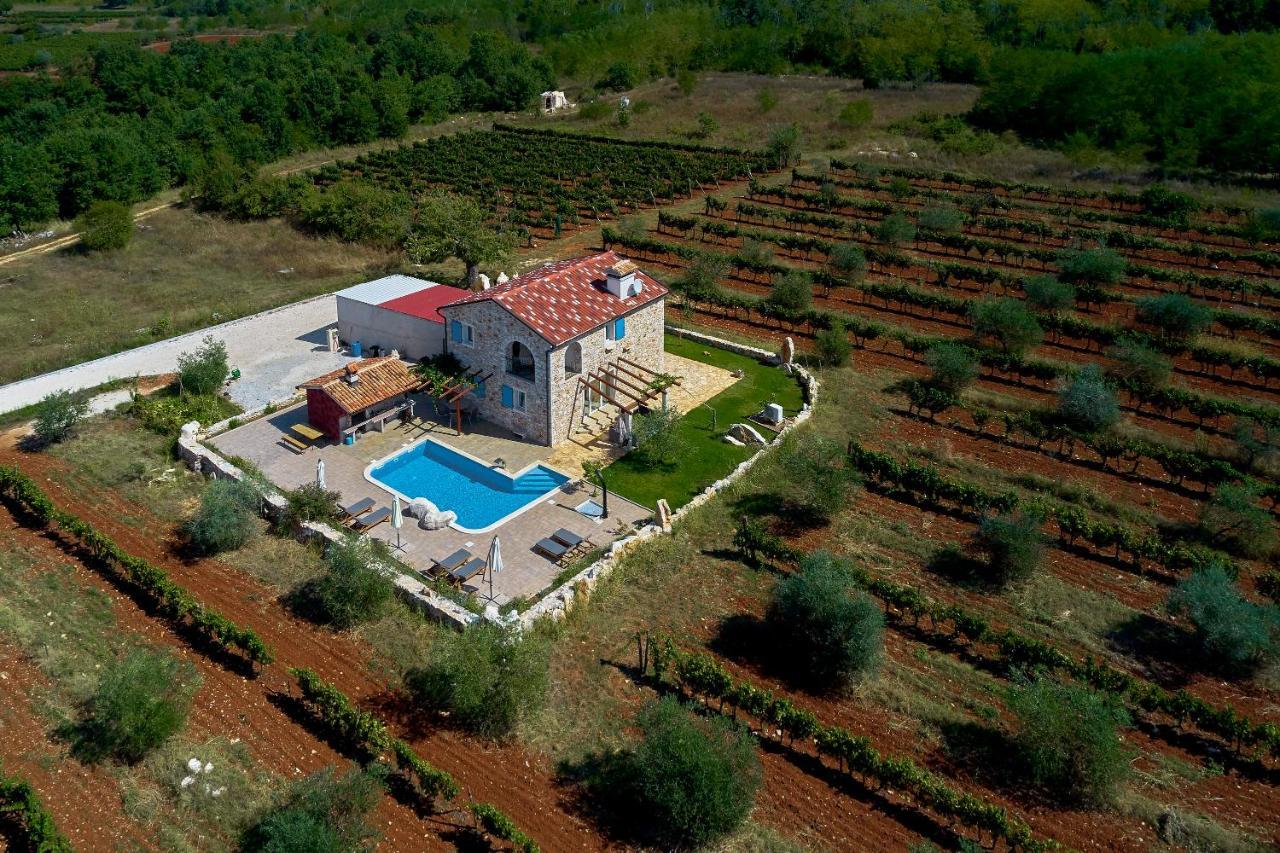 Вилла Relax House Surrounded By Olives And Vineyard Stifanici Экстерьер фото