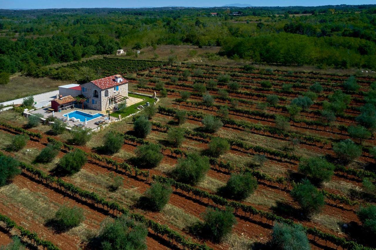 Вилла Relax House Surrounded By Olives And Vineyard Stifanici Экстерьер фото
