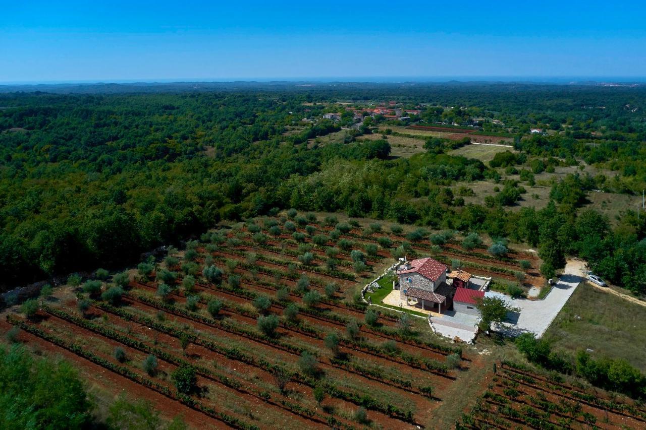 Вилла Relax House Surrounded By Olives And Vineyard Stifanici Экстерьер фото