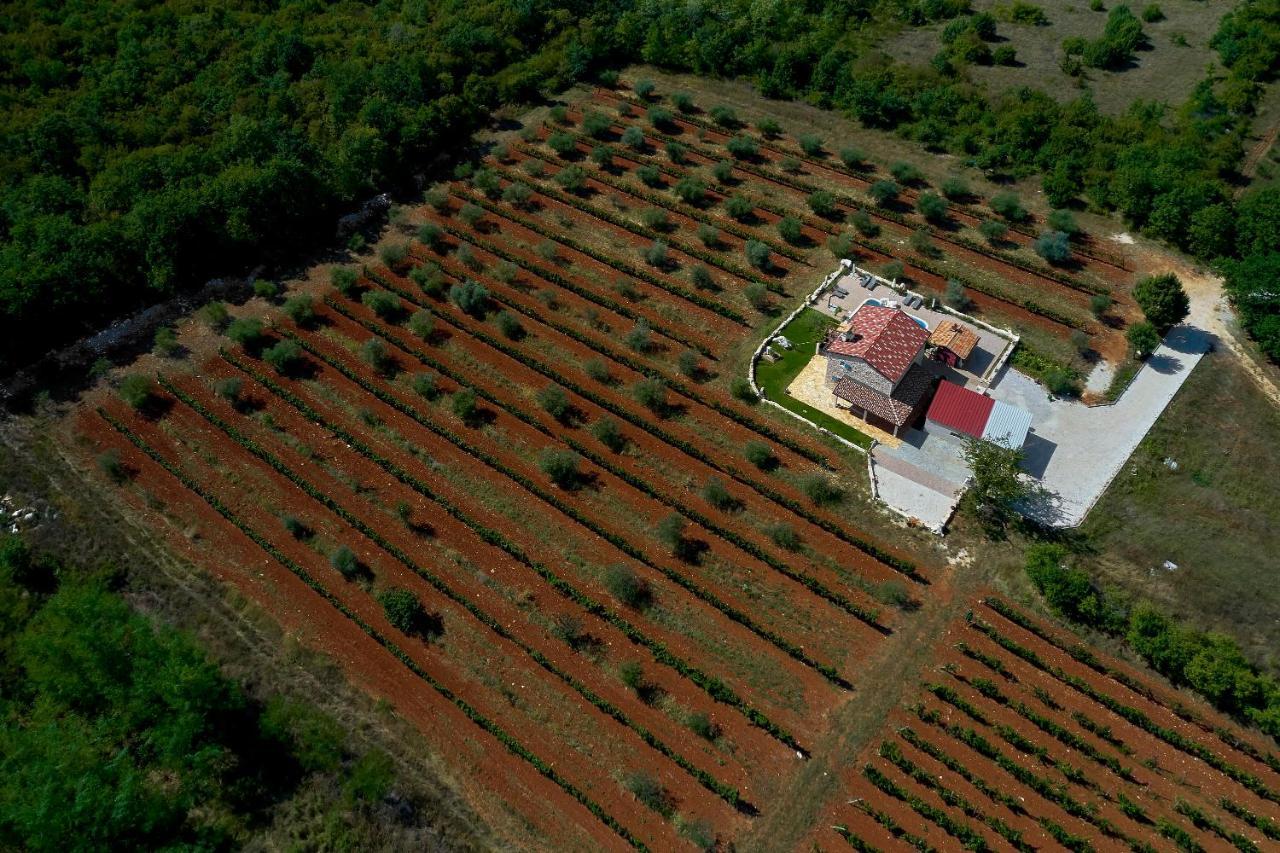 Вилла Relax House Surrounded By Olives And Vineyard Stifanici Экстерьер фото